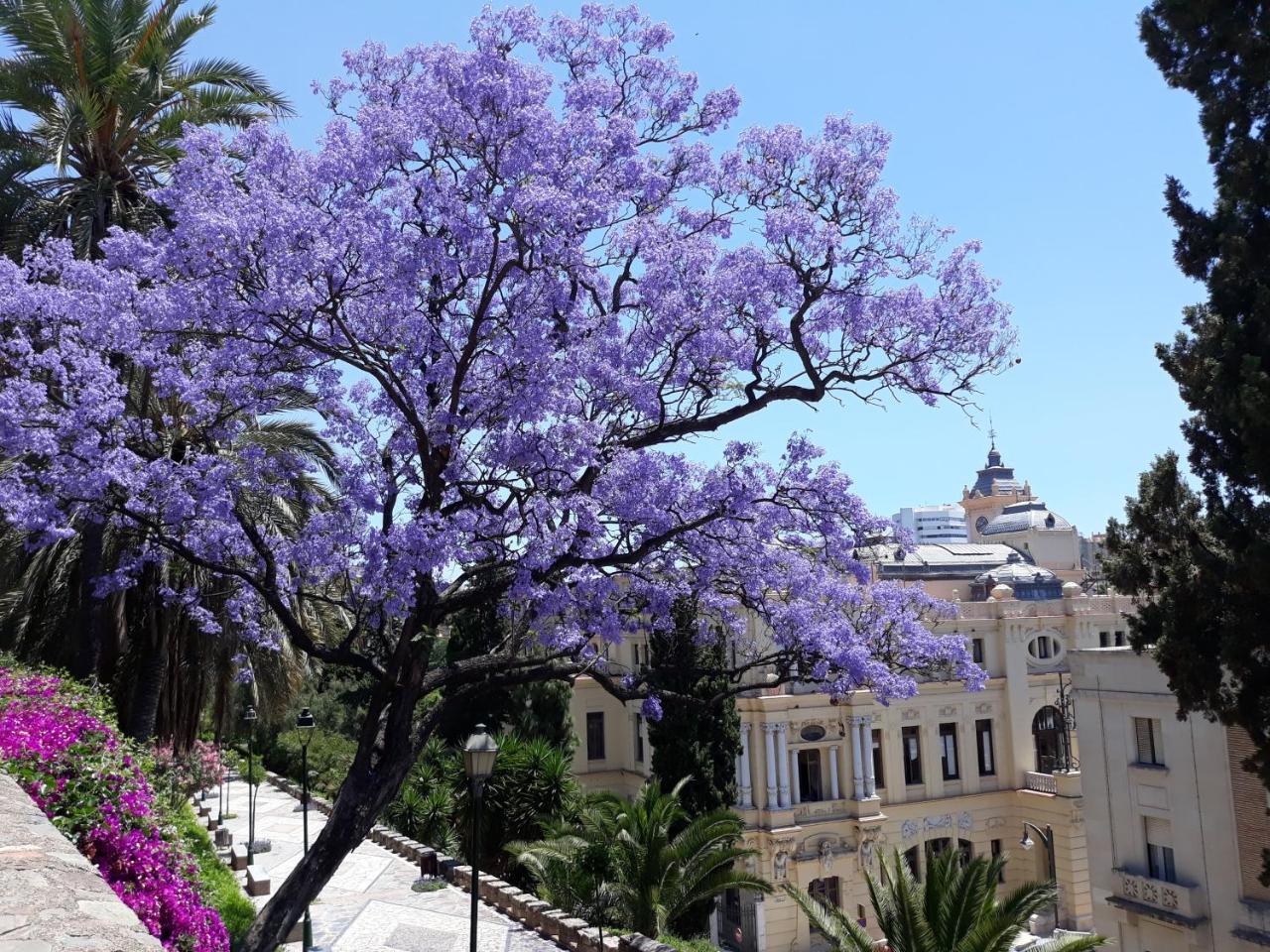 Stay Home & Away In The Heart Of Historical Town Of Malaga Exterior photo